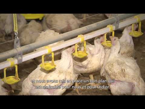 , title : 'Le témoignage d'un éleveur de poulets de chair : comment réduire l'usage des antibiotiques'