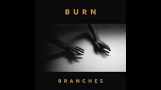 Branches // Burn