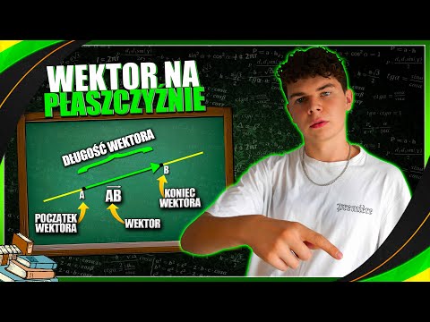 WEKTORY NA PŁASZCZYŹNIE - wszystko co MUSISZ wiedzieć