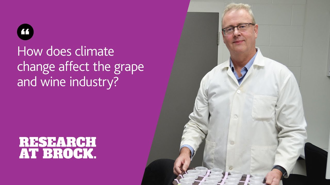 How does climate change affect the grape and wine industry?