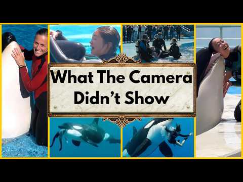 The Mysterious Case of Jessica Radcliffe SOLVED