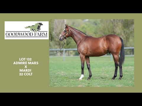 Lot 132: Admire Mars x Mardi colt