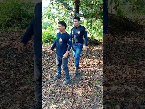 Completa curso em Oeiras do Pará.