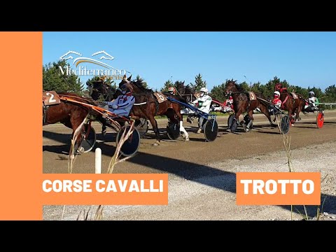 Corse cavalli di Trotto del 22 Gennaio 2022