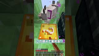 【霊夢vs魔理沙】ラッキーブロックのみの世界のプレイの違い！！【ゆっくり実況/ゆっくり茶番】【マインクラフト/マイクラ】#shorts