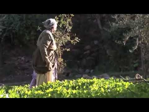 رائعة تبعمرانت عن التحرر......