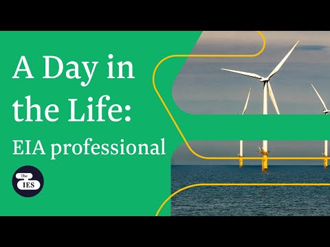 A Day in the Life of an Environmental Impact Assessment (EIA) professional