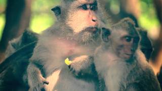 O'Neill Girls Surftrip to Bali with Eva Kreyer (GE) and Lisa veith(AT)