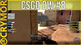 That's Some Bad Shooting, Suspect - The Overwatch, Case Eight - CS:GO Investigations