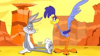 Looney Tunes Show Bugs Bunny Meet Road Runner And 