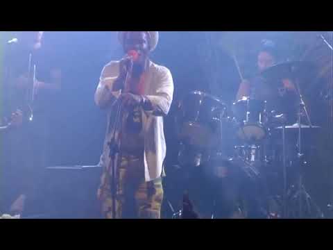 Apple Gabriel meets Zvuloon Dub System  2009