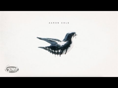 Aaron Cole - my year