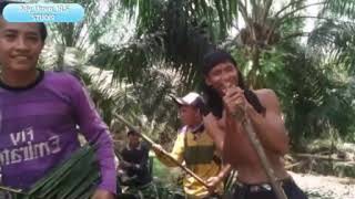 Download lagu Lagu sasak Celane pensil 2017 terbaru mp3