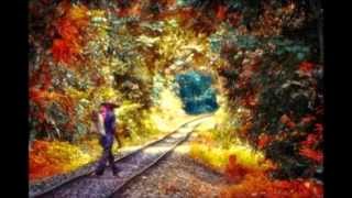 It's gonna be ok- Anders Osborne