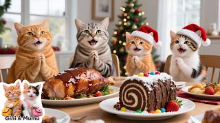 Merry Christmas 🎄 | Ginger’s Happy Holiday Collection 🐾