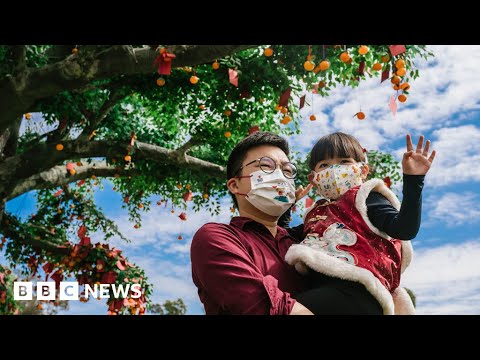 旧正月に再会する中国人家族 - BBCニュース (Chinese families reunite for Lunar New Year - BBC News)