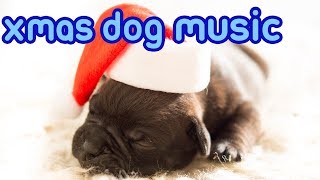 Christmas Music for Dogs! Jingle Bells, Away in a Manger for Dogs!
