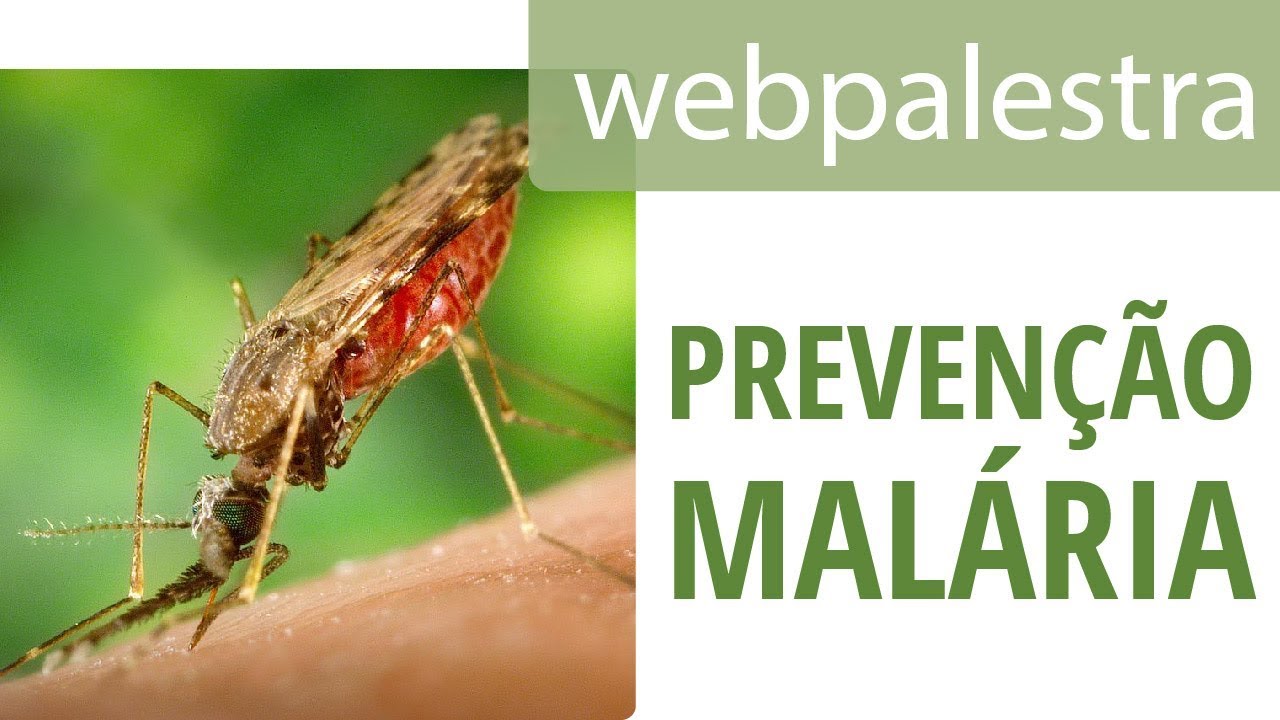 Webpalestra - Suspeição, diagnóstico e o tratamento da malária na AB