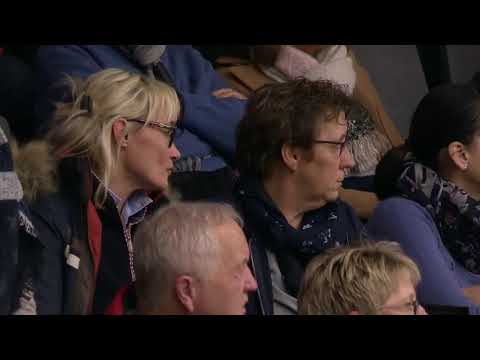 Hengstenstation van Uytert - Lord Europe 2019