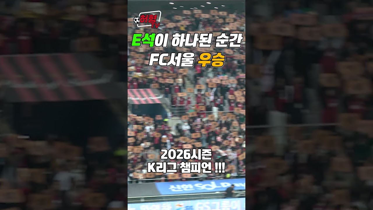 럭키금성을 추억하는 E석 팬들의 FC서울 우승 순간????❤️  #fc서울 #k리그 #축구
