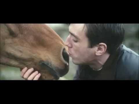 Václav Neckář - Oči koní