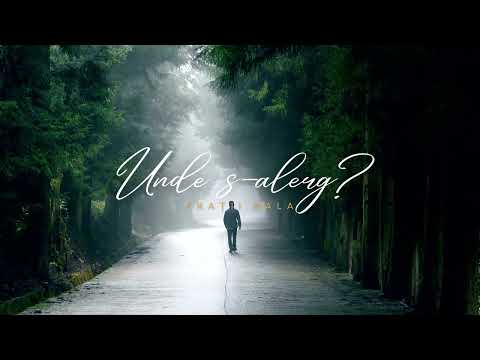 UNDE S-ALERG | Frații Bala