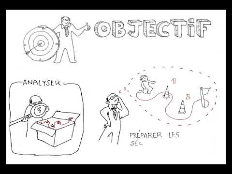 Tutorat en entreprise #1