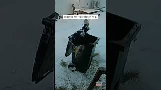 Woman Gets Stuck in Trash Can #shorts