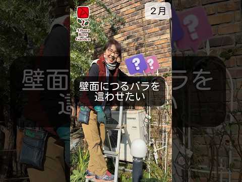 庭やテラスにぴったりの素朴で親しみやすいつる性植物 6 選  庭園