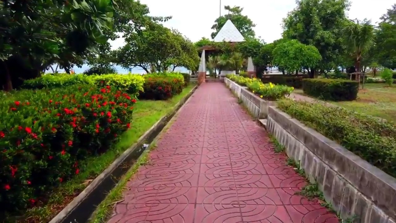 Seashells & Serenity: A Calming Walk on Koh Phangan Beach ASMR
