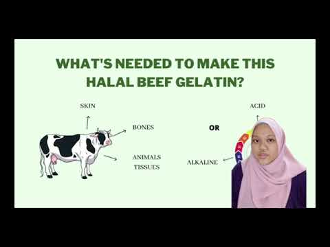 Presentation of Producing Halal Gelatin