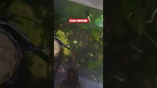 Download lagu please subscribe #jobbiehebriovlogs mp3 Download lagu please subscribe #jobbiehebriovlogs mp3