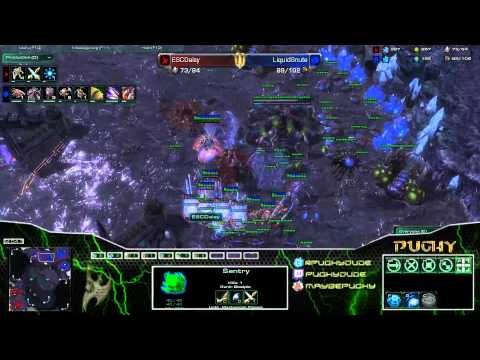 Snute v Daisy ZvP G1 GO4SC2  Pughy