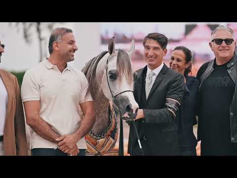 DUBAI STUD ACHIEVEMENTS - GCAT Valkenswaard 2024