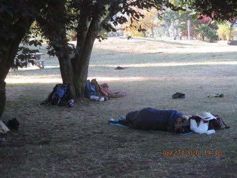 Messy Campers in the Park