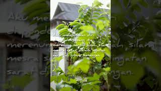 Download lagu Pondok Usang mp3 Download lagu Pondok Usang mp3