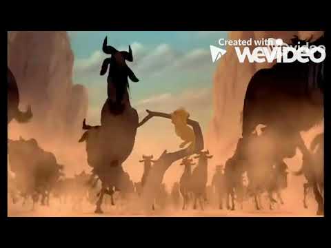 The Tigger King part 9 - The Stampede