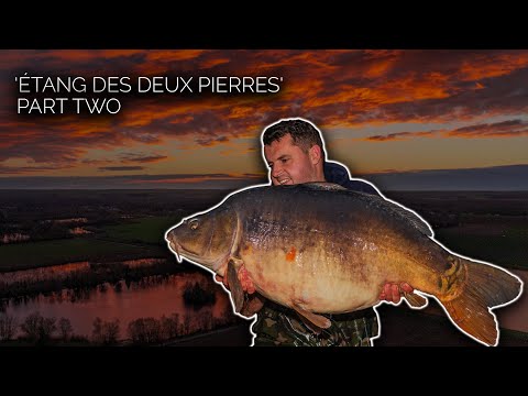 CineCarp TV and Tom Maker