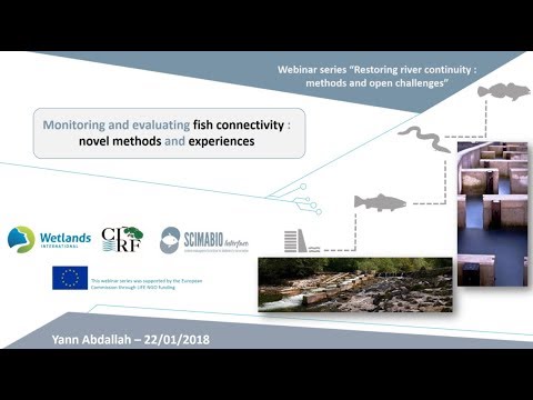 Restoring river continuity Webinar: Monitoring and evaluating fish connectivity
