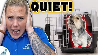 Stop Your Dog From Whining In Their Crate