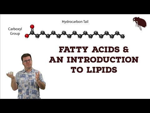 Fatty Acid Chemistry: The Hidden Forces Shaping Health and Industry