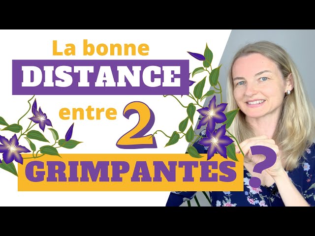 Video Pronunciation of treillage in French