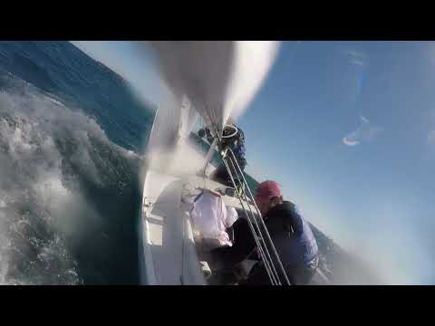 Dragon Gybe Set in 25 Knots in Cannes Grand Prix 2019