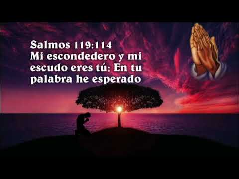 Salmos 119:114, Mi escondedero y mi escudo eres tú, Versículos y musica de Armando Gamez