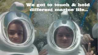 Jillian Speer - 4-H Project - Fulton County Ohio