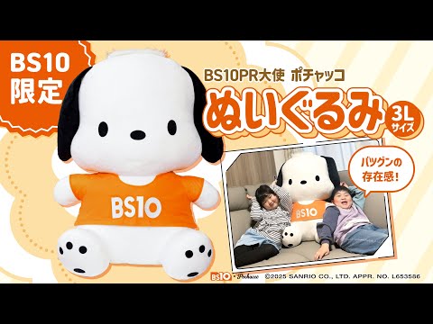 ぬいぐるみ3Lインフォマ 30秒