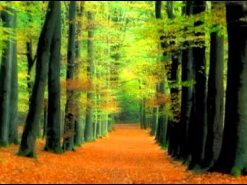 Take Me Over - Michael W. Smith