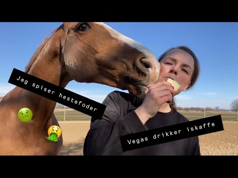 Vi smager hinandens yndlings snacks #1 | Stephanie Ljungdahl
