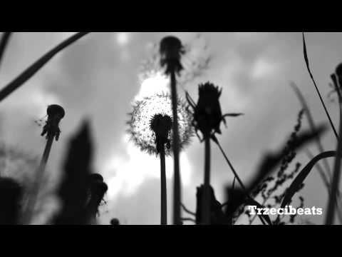 Trzecibeats - Skrzypy.