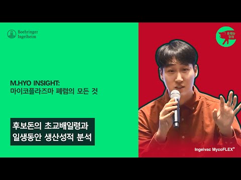 평균값의 함정! 진짜 이득을 남기는 후보돈 교배 전략